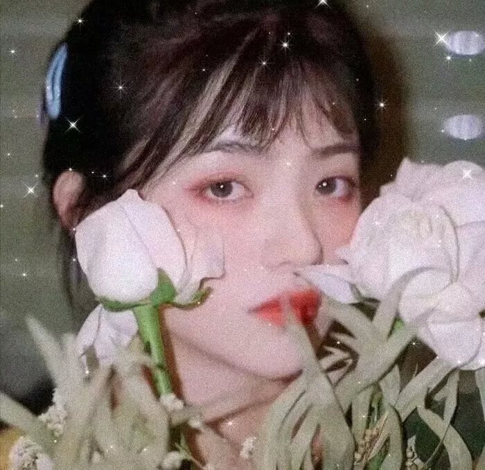 神国的奥秘